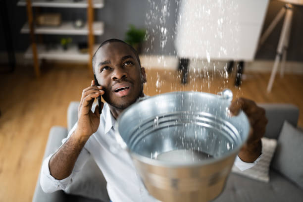 Best Water damage restoration near me  in Laurens, IA
