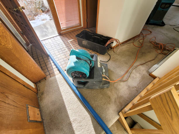 Best 24/7 water damage repair  in Laurens, IA