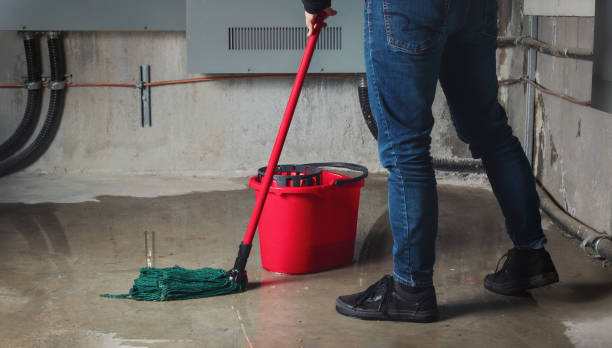 Best 24-hour water damage restoration  in Laurens, IA
