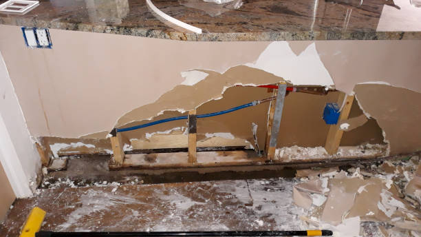 Best Mold removal after water damage  in Laurens, IA